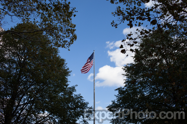 Photo for Metadata display