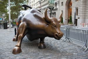 Nice photo of Charging Bull