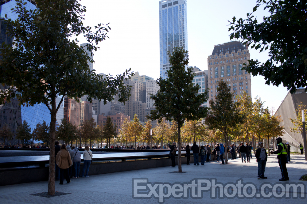 Nice photo of The National September 11 Memorial