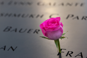 Nice photo of The National September 11 Memorial