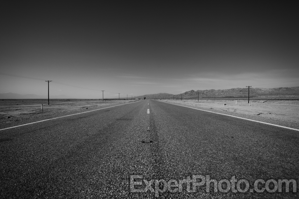 Nice photo of The Middle of the Road
